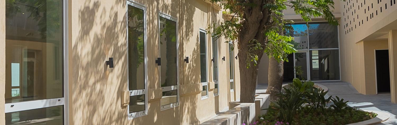 L'Agence de l'Enseignement Français à l'Etranger (AEFE)